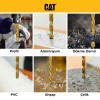 CAT DA02901 16 Parça Profesyonel Titanyum Kaplama HSS Metal Delici Matkap Ucu CAT DA02901 16 Parça Profesyonel Titanyum Kaplama HSS Metal Delici Matkap Ucu