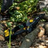 CAT DG231 18Volt 4.0Ah Li-ion 12CM Profesyonel Şarjlı Kömürsüz Zincirli Testere CAT DG231 18Volt 4.0Ah Li-ion 12CM Profesyonel Şarjlı Kömürsüz Zincirli Testere