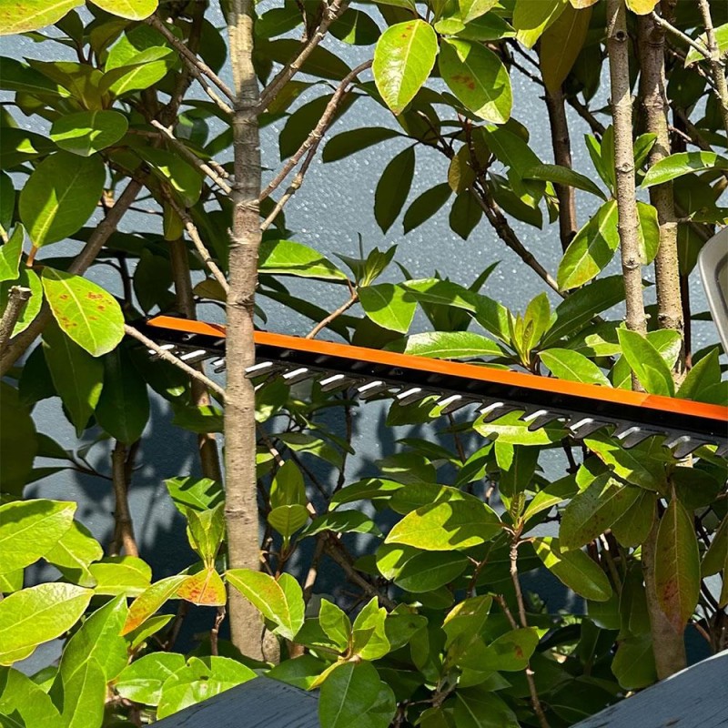 WORX WG263E 20Volt 4.0Ah. Li-ion Tek Akülü 57CM Profesyonel Çit Budama WORX WG263E 20Volt 4.0Ah. Li-ion Tek Akülü 57CM Profesyonel Çit Budama