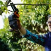 WORX WG324E 20Volt 2.0Ah Li-ion 12CM Profesyonel Şarjlı Zincirli Testere WORX WG324E 20Volt 2.0Ah Li-ion 12CM Profesyonel Şarjlı Zincirli Testere