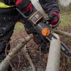 WORX WG350E 20Volt 4.0Ah Li-ion 30CM Profesyonel Şarjlı Kömürsüz Zincirli Testere WORX WG350E 20Volt 4.0Ah Li-ion 30CM Profesyonel Şarjlı Kömürsüz Zincirli Testere